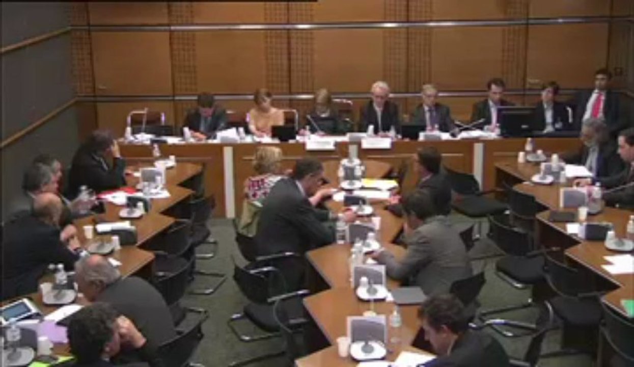 Audition de Madame la Ministre en commission - Question de Jean-Jacques Cottel 24 avril 2013