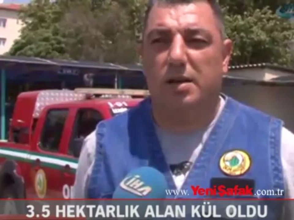 3,5 hektarlık alan kül oldu