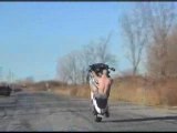 extreme moto stunt