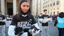 Animal Equality porta i cadaveri degli animali al Pantheon