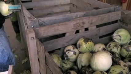 Hebdo DD : Le développement durable en Alsace (02/05/13)