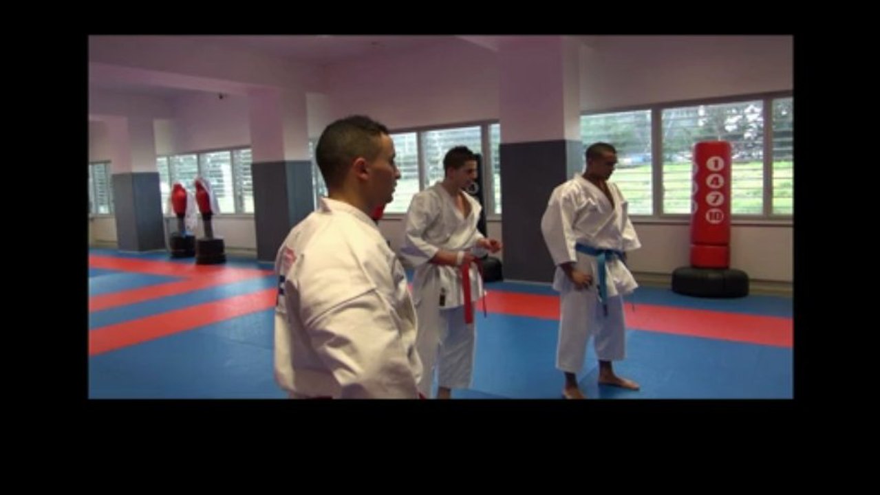 Ch. Europe Karaté 2013 - L'équipe kata masculine pour Budapest