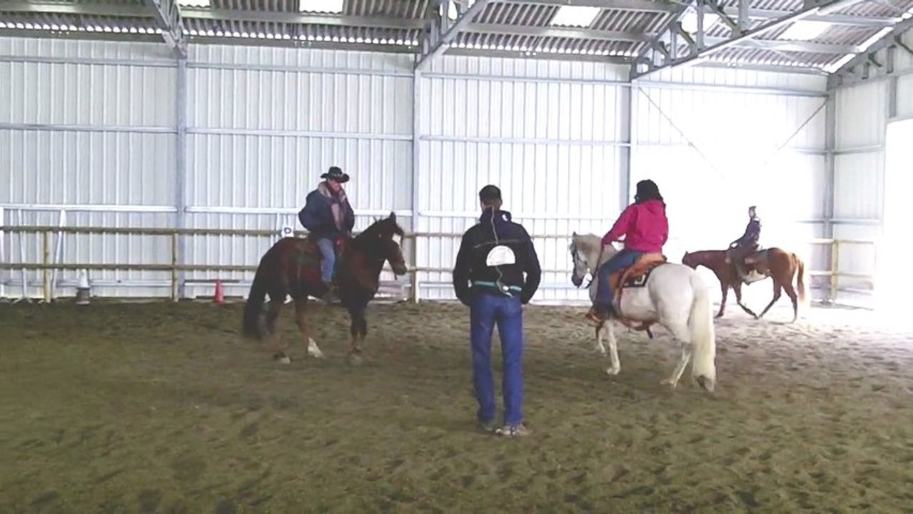 Stage équitation western par Fred Roux