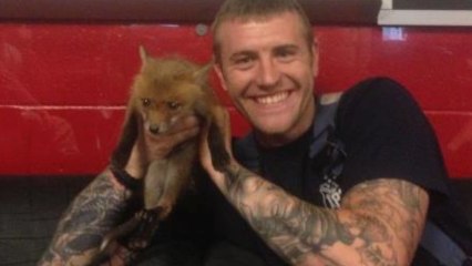 Hot Firefighters Save Adorable Baby Fox