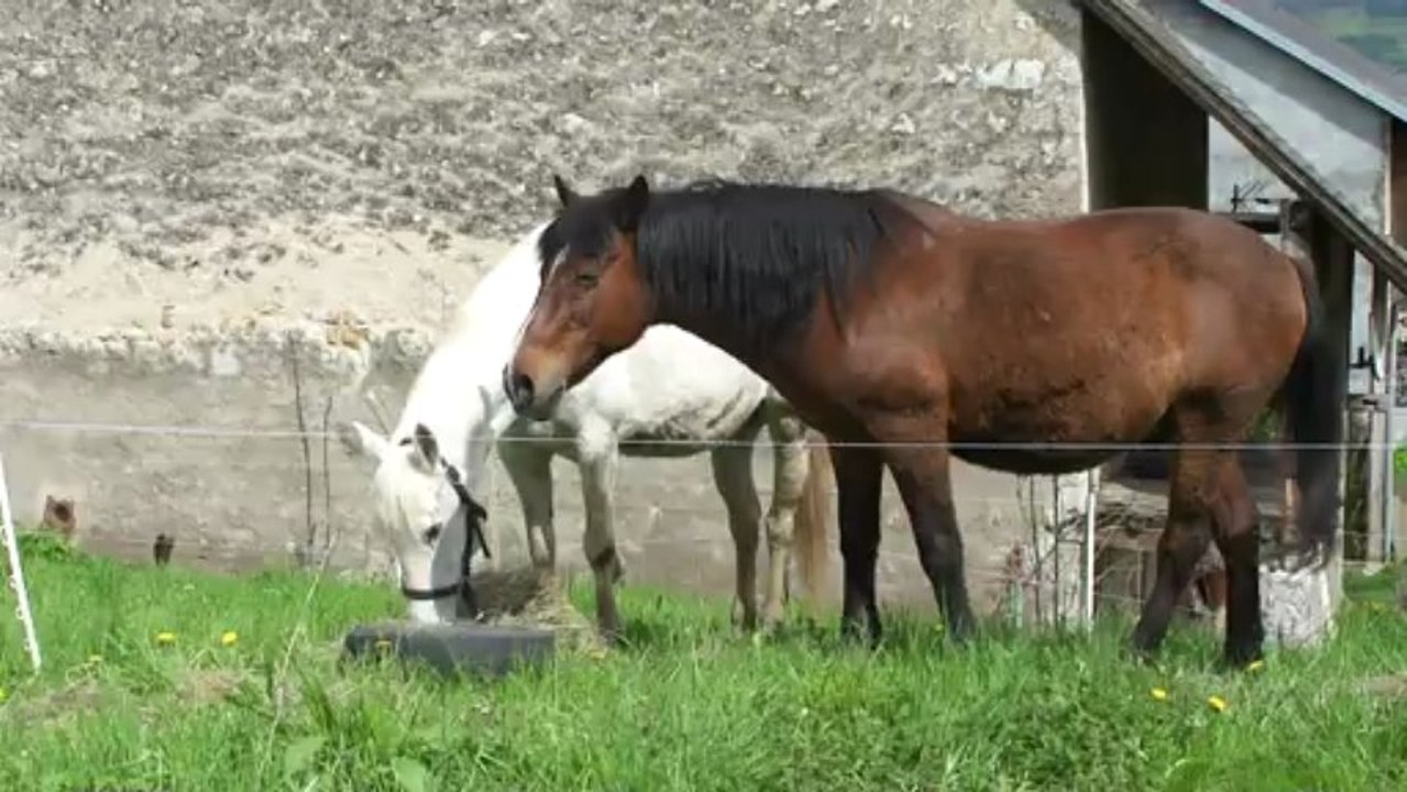 Aramis et Mona (2)