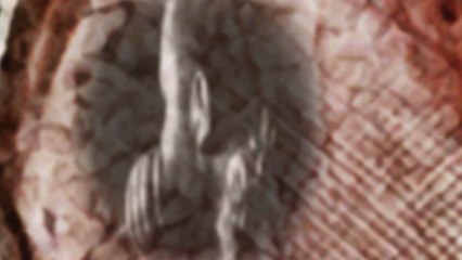 MUMAKIL - 'Flies Will Starve' Trailer