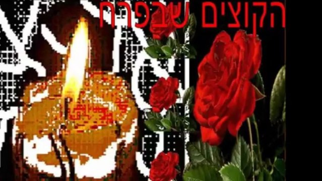 1940 1945 פולין