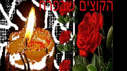 1940 1945 פולין