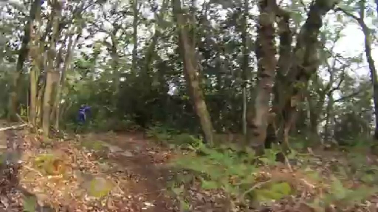 TOP SINGLE rando des rosiers sur loire le 28/4/2013