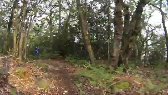 TOP SINGLE rando des rosiers sur loire le 28/4/2013