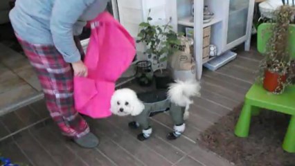 wendy a mis ses bottes dans la neige