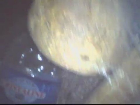 Découverte incroyable d'ossements dans l'église d'Oradour sur Glane