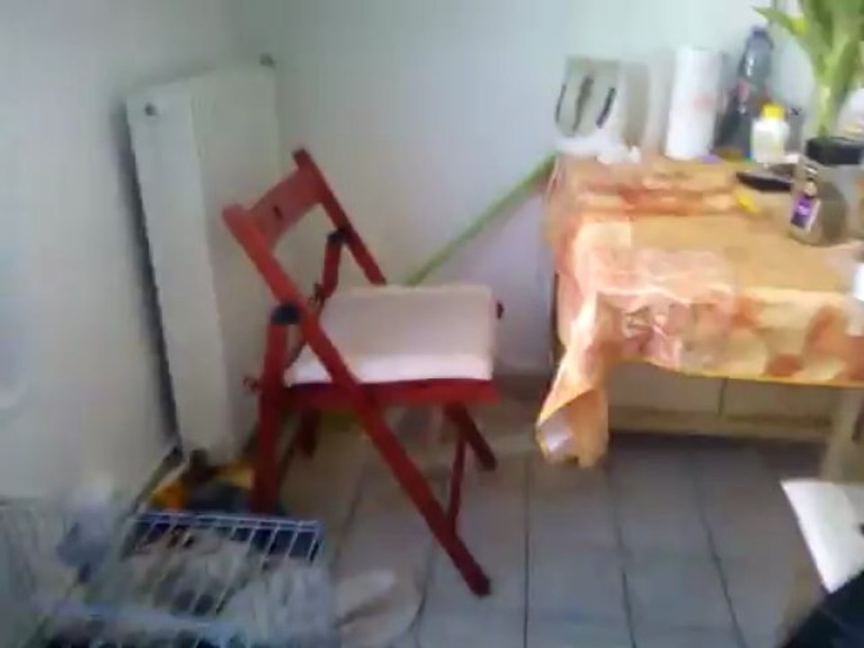 Vidéo Diwal.1