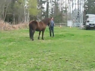 Stage Ethologique initiation  Avril 2013