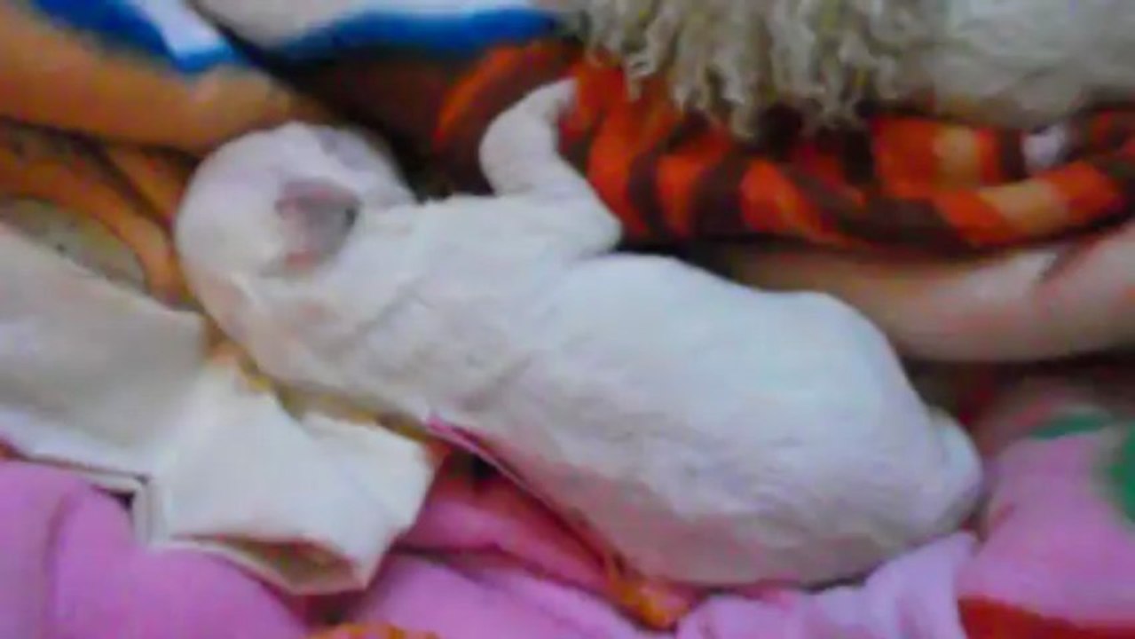 wendy et tina à 4 jours