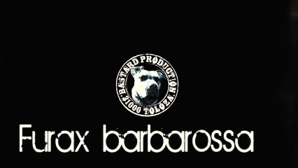 Furax  Marche Arriere 2013