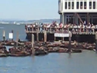 San Francisco 2008