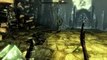 The Elder Scrolls 5 : Skyrim - Dragonborn - Trucs et astuces - Livre Noir - Légendes Inconnues