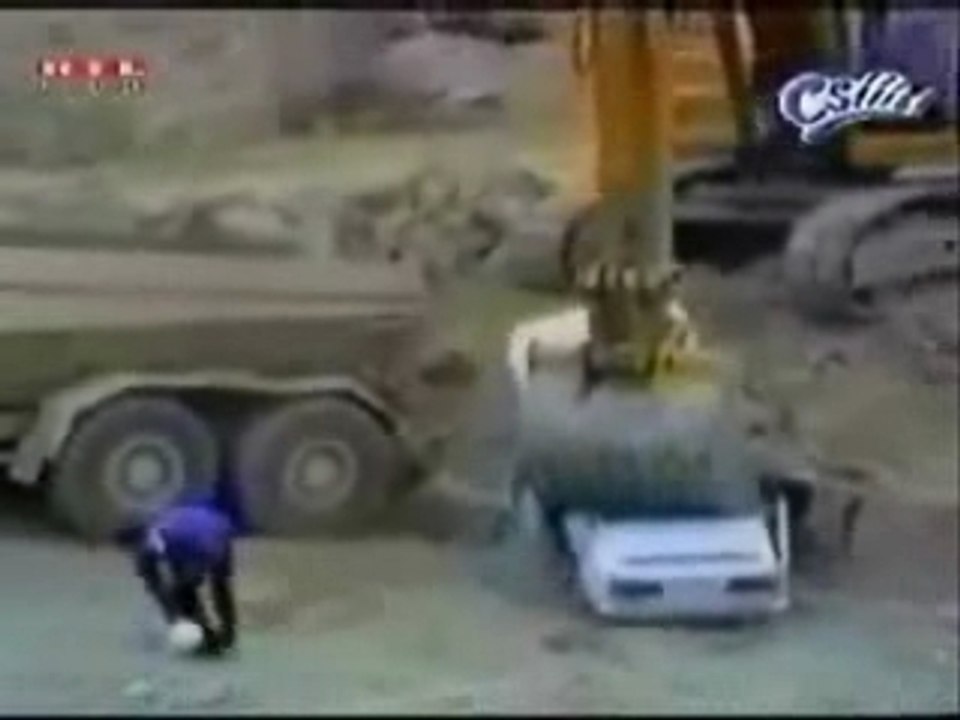 La connerie de l'Homme