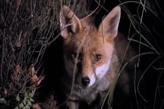 Paul McCartney - Hope Of Deliverance