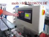 horizontal form fill and seal packaging machine