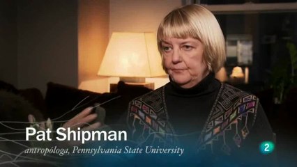 De presas a depredadores: Pat Shipman