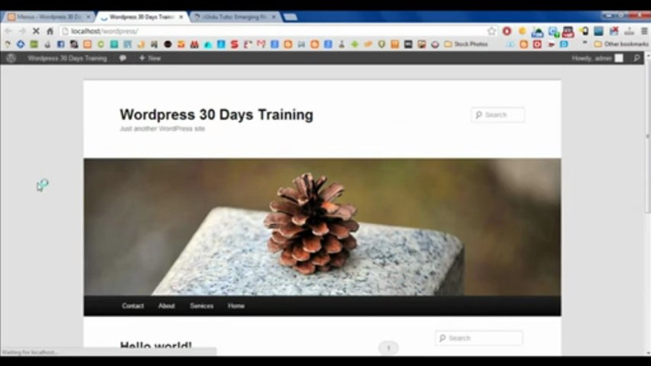 Wordpress Tutorial
