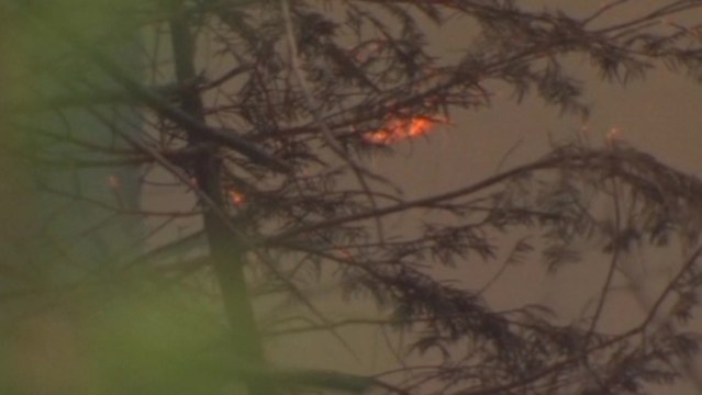 Parts of Yosemite National Park charred by wildfires