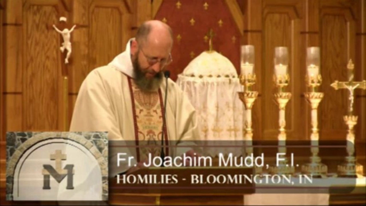 Aug 28 - Homily: Augustine Grace of Conversion