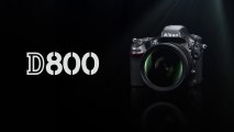 Nikon D800 - JE SUIS UNE VISION GLOBALE