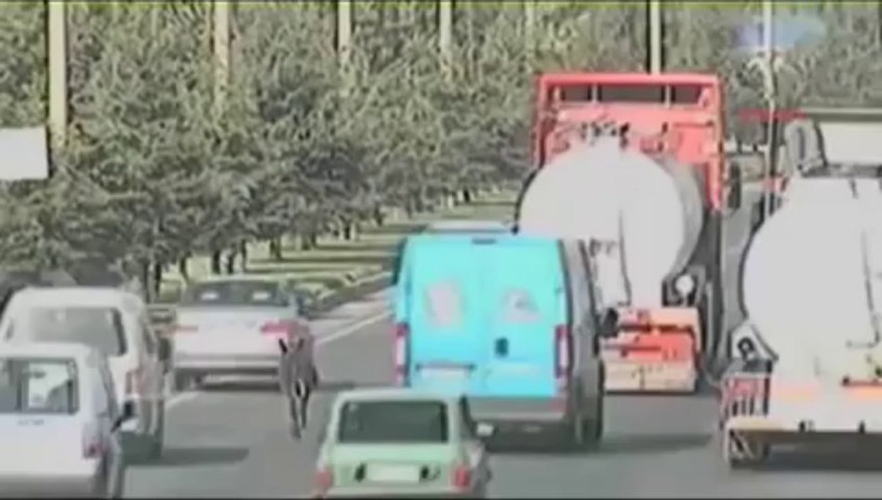 Uşak'tan ilginç mobese görüntüleri!