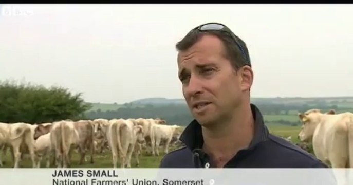 BBC News - Badger cull begins in Somerset and Gloucestershire despite protests 27Aug13