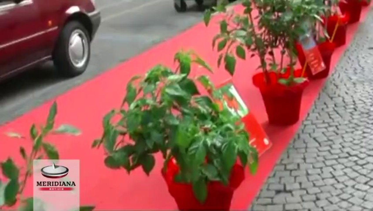 Torna “Rieti Cuore Piccante” la Fiera mondiale del Peperoncino