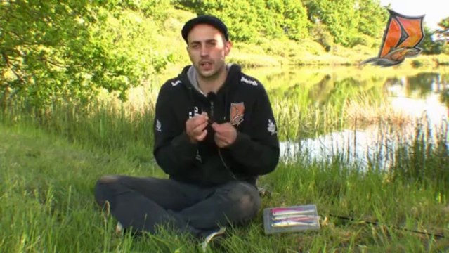 Delalande leurre souple - Glider Shad