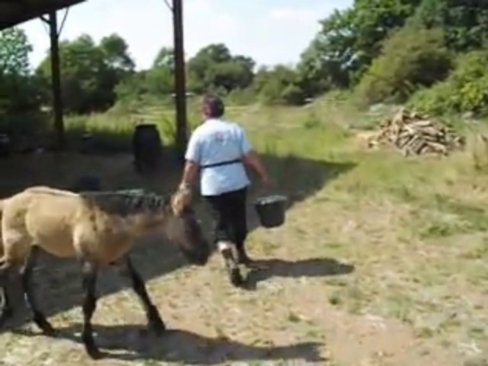 Demivenu le 28 aout  2013