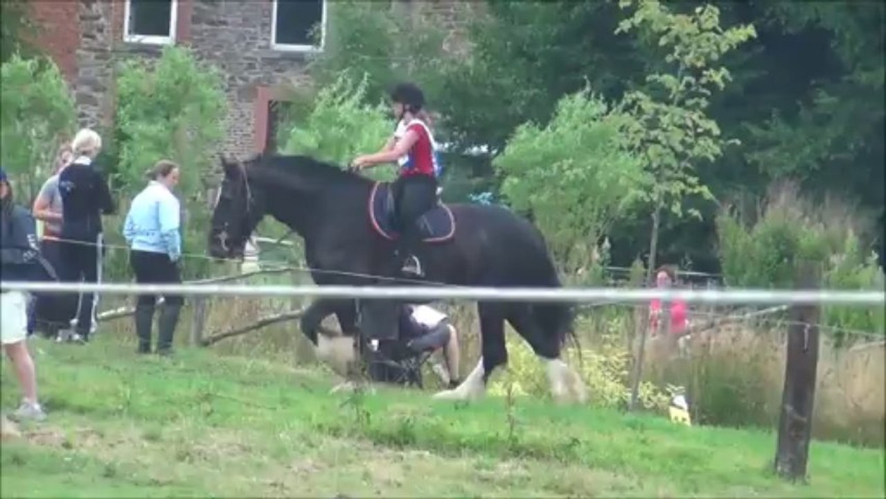 trec Bande ptv lj