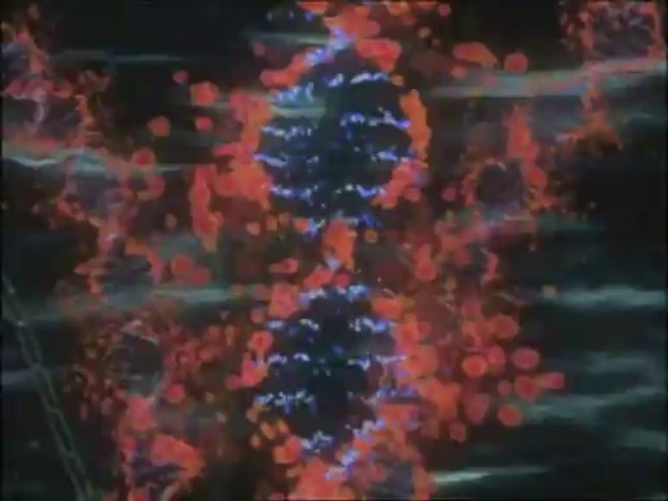 N ep  (17)