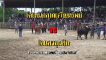2556080902 สนามระโนด 