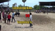 2556080903 สนามระโนด 