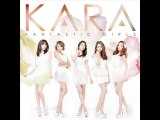 KARA -Burn! Burn! Heartbeat(バーン!バーン!ハートビート) (AUDIO) DL