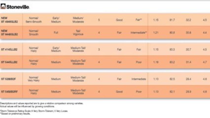 FiberMax & Stoneville Cotton - Georgia 2013 Variety Guide