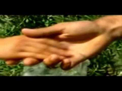 halit bilgiç döngel seslinese.com