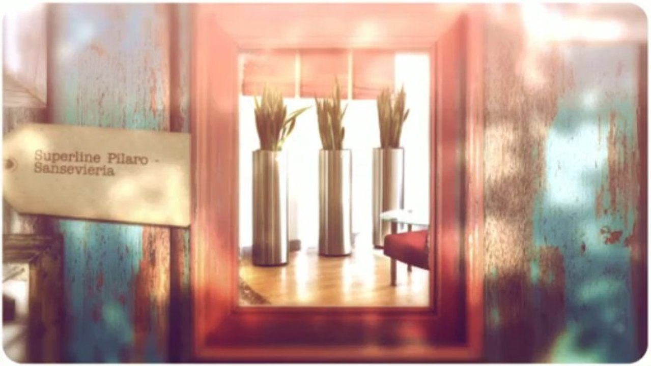 Plants And Planters In Manchester