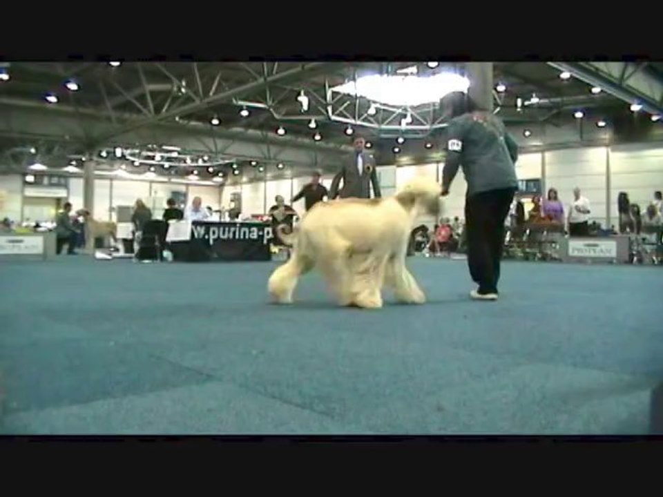 Pascha 15 mo Leizig 2013