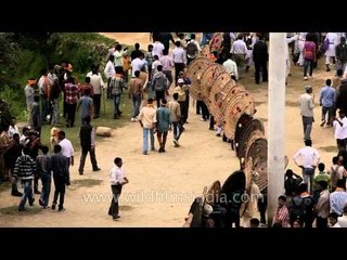 Bagwal celebration begins at Devidhura