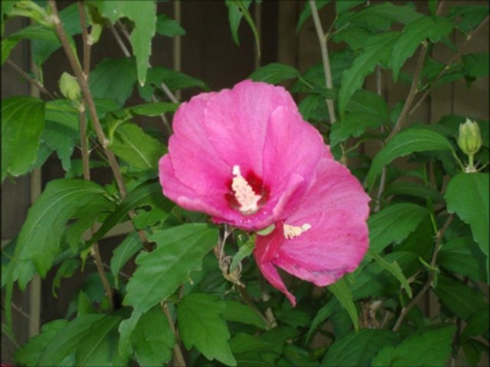 Artistic_Photos_Slideshow