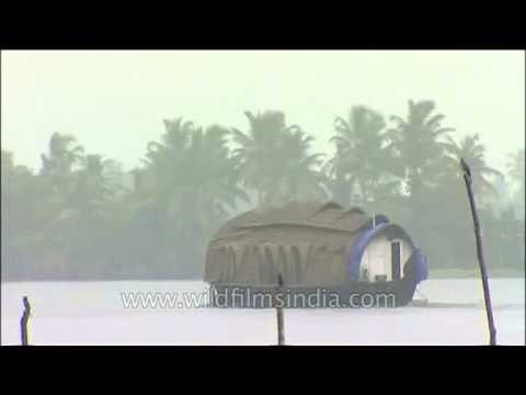 Monsoons and Houseboats: Kerala Backwaters