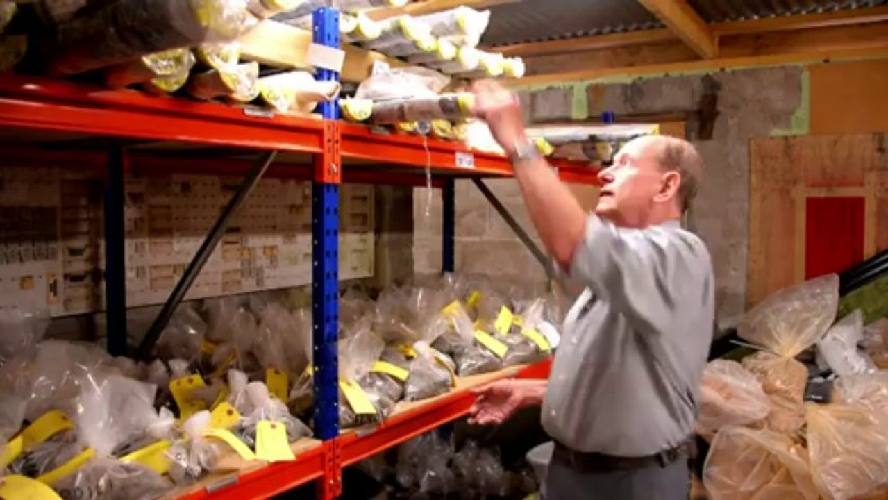 Aus für die perfekte Welle? Surfer gegen Zinn-Schürfer