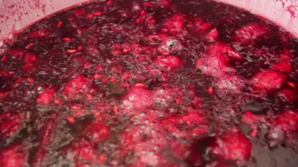 Homemade Cherry Lemon Juice - Free HD stock footage