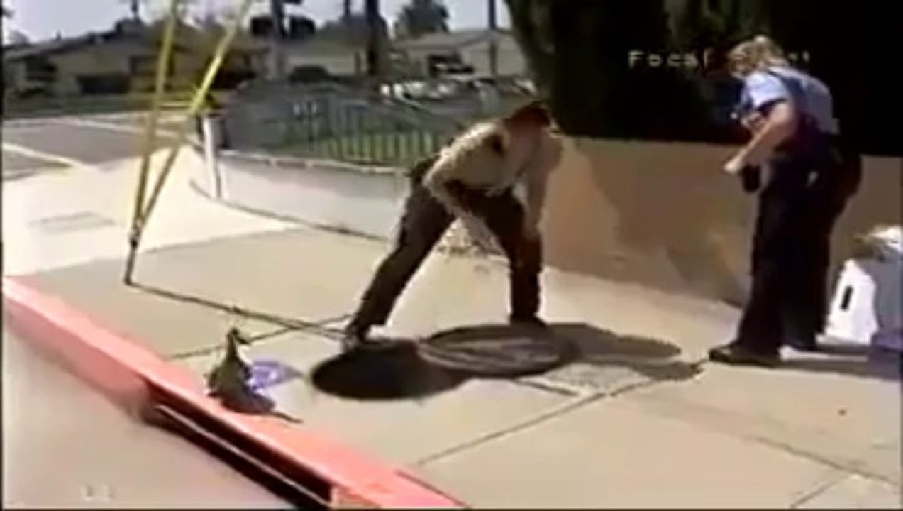 A duck crying for its ducklings and gets help from cops